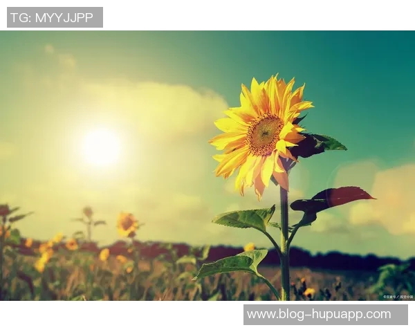 亚马尔分享休闲生活照积极调整心态迎接新挑战